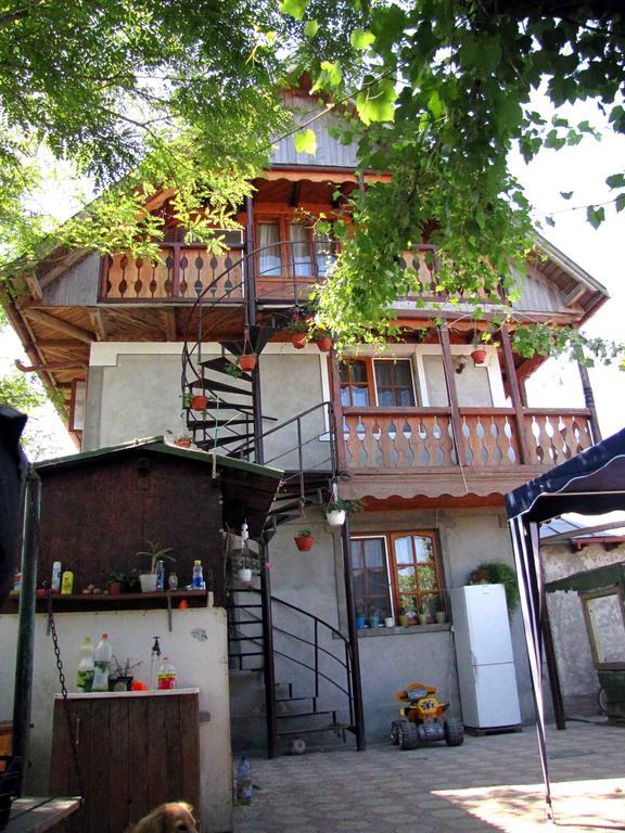 Casa Oana Hotel ซูลีนา ภายนอก รูปภาพ